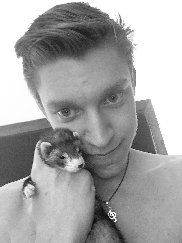 My ferret #nala wants to know if her daddy can get 4k followers by the end of the day #gay #pet http://t