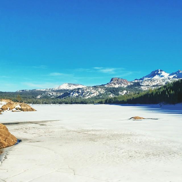 HeriCer20's tweet image. #caples#lake#instanature #nature #pinetrees #mountains #skysnappers #instamood#ice#ig_epicshots#amazing#view#eldora…