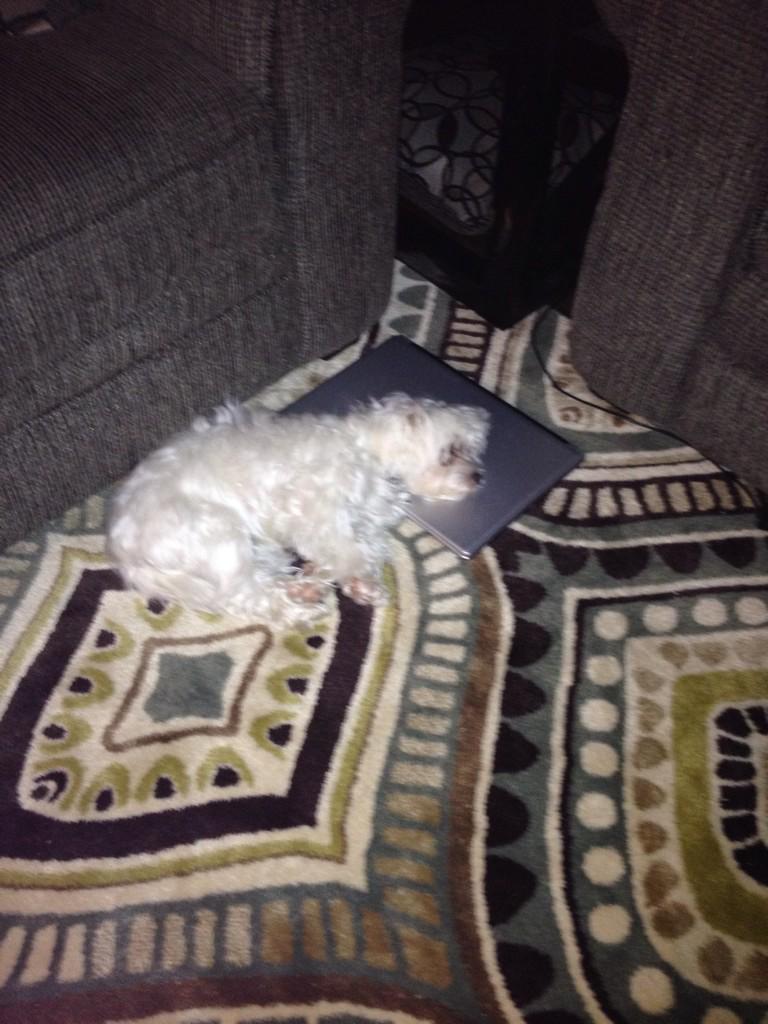 andreacook0608's tweet photo. Learning by osmosis #baylor #babyb http://t.co/RhDV19QrQ8