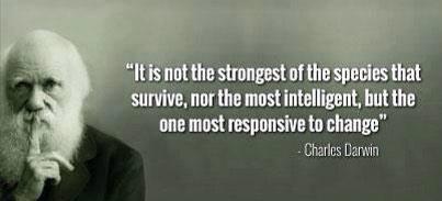 Kris_SMSF's tweet image. Already loving Sarah's presentation on automation #SMSFassoc 

@MayflowerAU