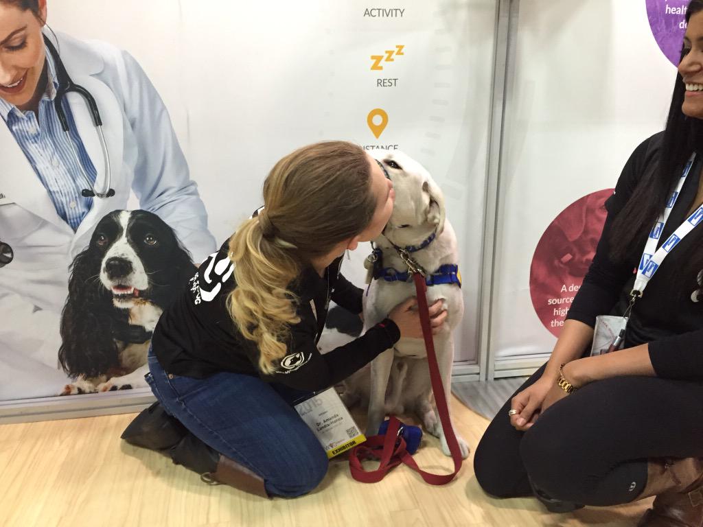 OHG_Corp's tweet image. We loved meeting Mancha today at #WVC2015 in #Vegas. He&apos;s an amazing therapy dog!