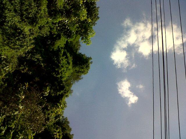 beraktivitas disiang yang cerah. siap bersemangat hingga petang nanti. semoga berkah ˆ⌣ˆ