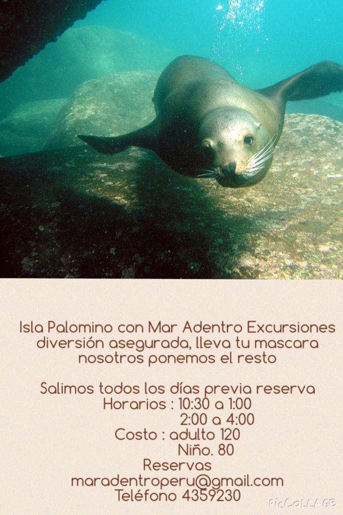 ursulbucher's tweet photo. http://t.co/JtONySYCUa