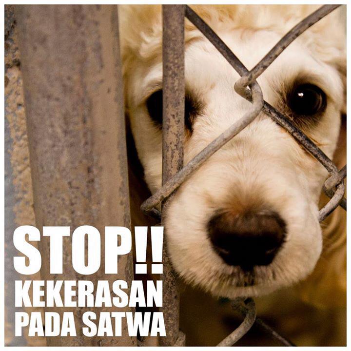#StopKekerasanPadaSatwa