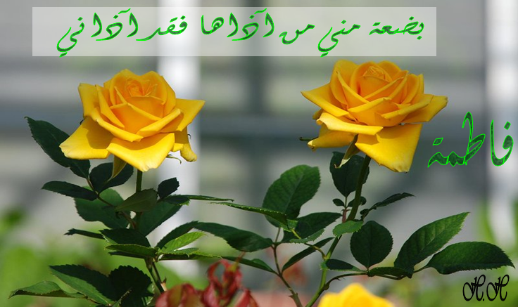 huda19913's tweet photo. يااااااازهراء http://t.co/ufBasG2QX2