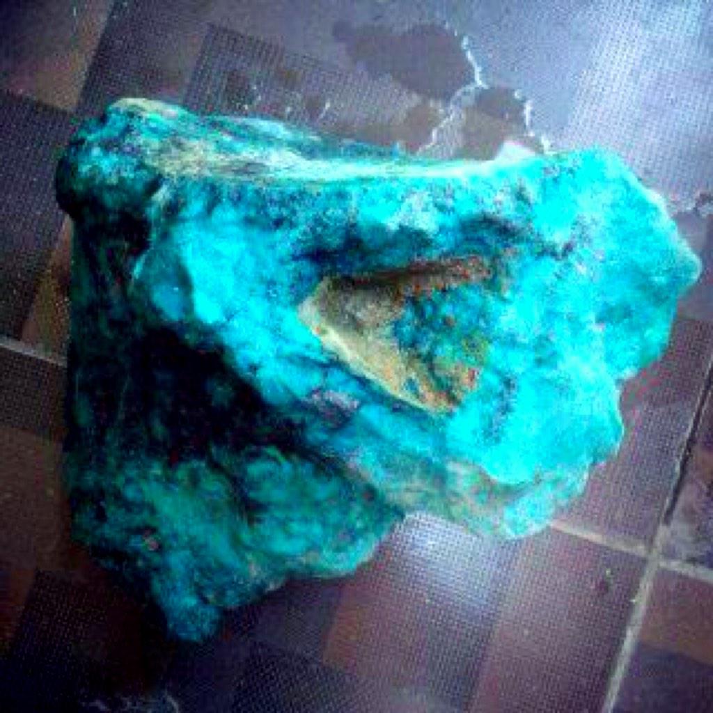 7kg rough bacan ,100 jt angkut,Cod padang bukit tinggi <a href="/vakot/">fadlivakot</a>