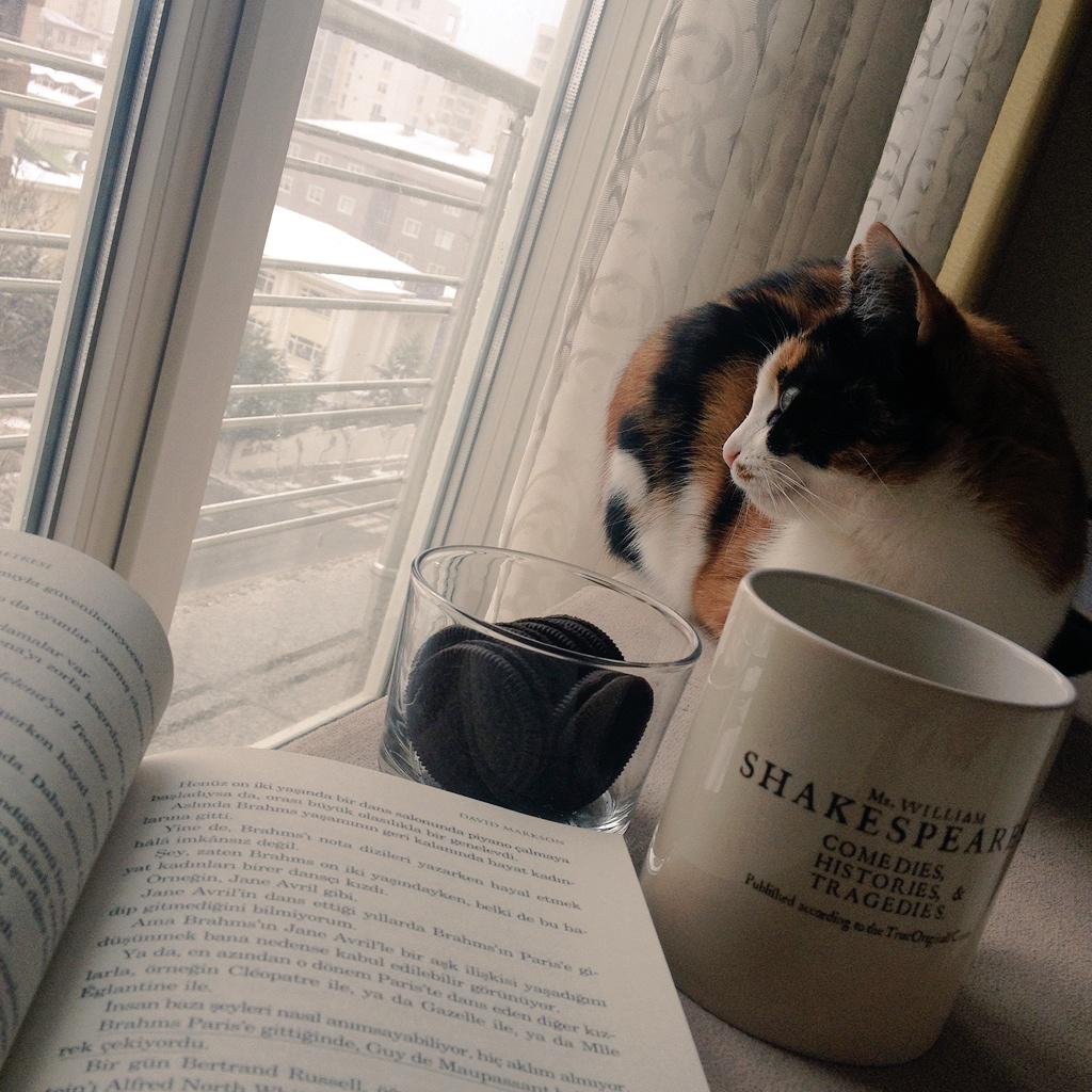 Kitap ve Kahve (kitapvekahve) Twitter