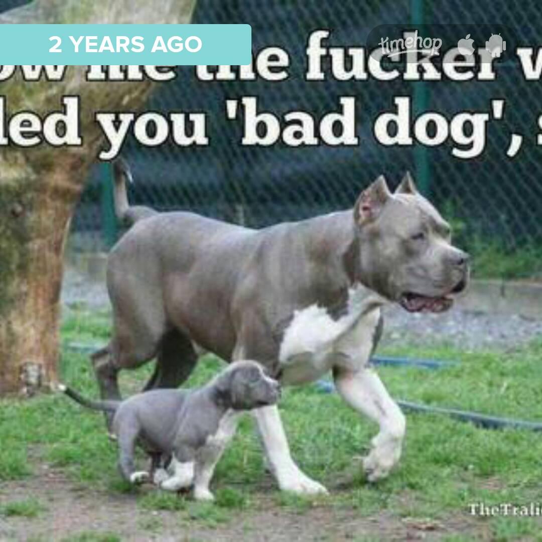 MpshellPowell's tweet image. Exactly 2 years ago today! via @timehop  timehop.com/c/fup:43637731…