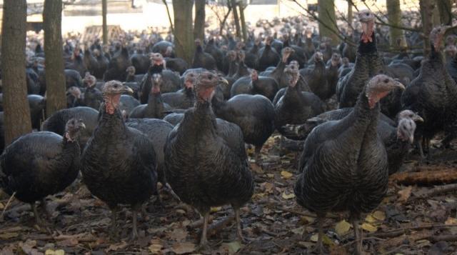 FarmingUK tweet media