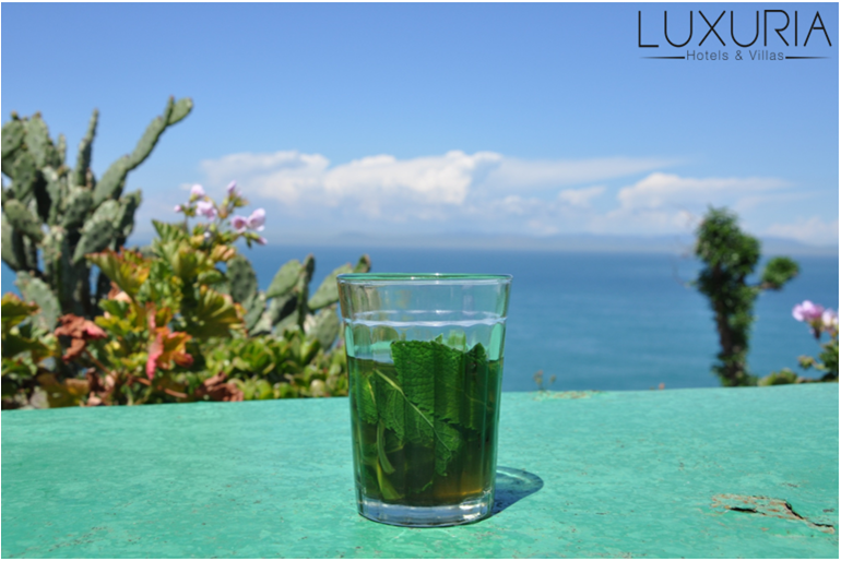 LuxuriaHVcom's tweet photo. #caféhafa#tangier#niceview#enjoy#tea#morocco# http://t.co/PJcoqrSzIh