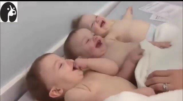 世界のかわいい赤ちゃん動画まとめ Pa Twitter 赤ちゃんおもしろ 三つ子の赤ちゃんが可愛すぎ 双子 三つ子 赤ちゃん 子供 世界のかわいい赤ちゃん動画まとめ Http T Co 0eeyuplmdn Http T Co Azir7xxlsr
