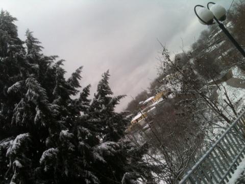 ZXrysos's tweet photo. http://t.co/WB5zdNftKU