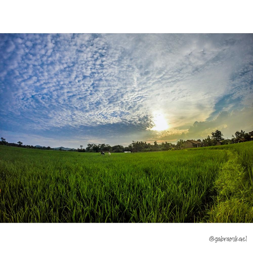 “<a href="/gabramikael/">nyingnying official</a>: #MemandangSunsetYangSama Happy #AshWednesday Selamat menuju Tahun Baru Imlek ci #CNY2015 ”