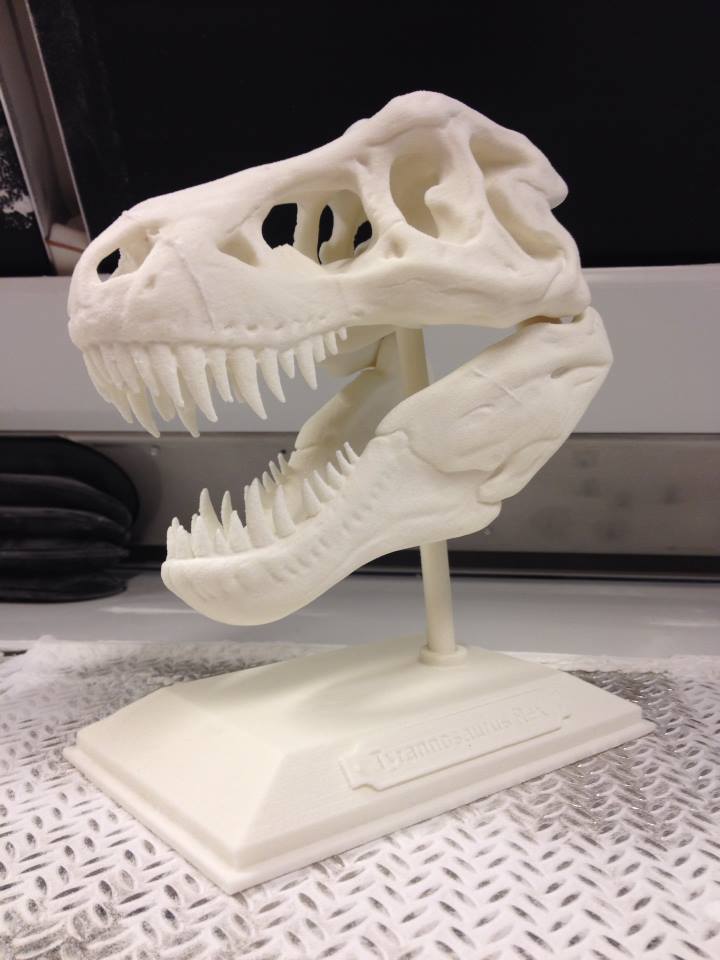 BluePrinter3d's tweet photo. Rex was one of the largest land carnivores, and now he is preserved as a Blueprinter part #3dprinting #Blueprinter http://t.co/JBkDUa1Y0e