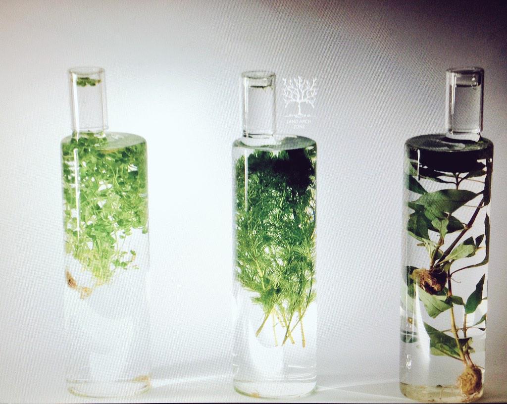 #Design your future! Design your Life - choose your Terrarium Water #watergarden #landarchzone #garden <a href="/LandArchZone/">LandArch Zone</a>