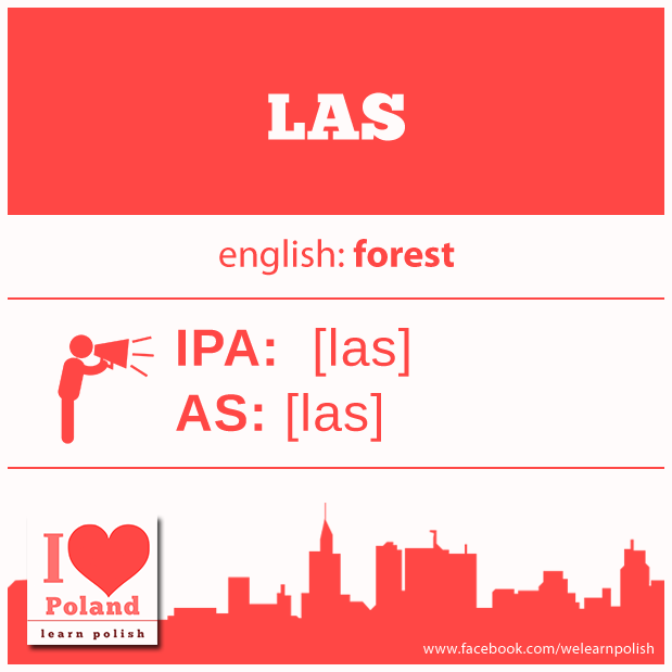 #wordoftheday #language #poland #polski #warsaw #warszawa #red #quotes #quote #word #words #spellcheck #love #heart