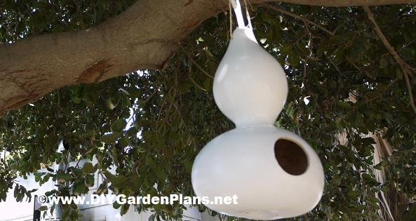 DIYGardenPlans's tweet photo. See how to make a gourd bird house at > http://t.co/aae32aoh7Z #birdhouse http://t.co/8mjnhOhw0G