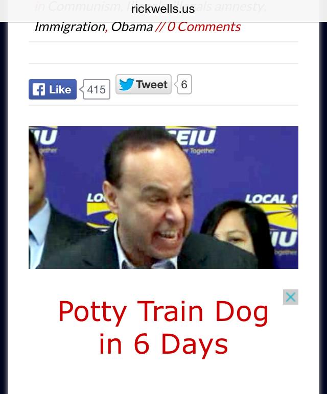 Chicago Democrat Luis Guiterrez calls for illegals militancy