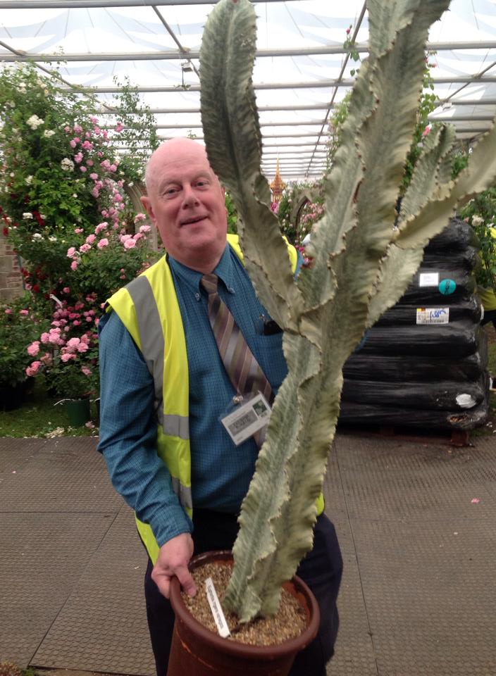 #twittertraining #RHSChelsea <a href="/The_RHS/">The RHS</a> Gold Medal Winners 2009-2014 <a href="/craighousecacti/">Craig House Cacti</a> #cacti bit.ly/1yXmShD