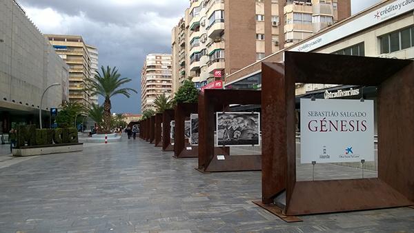 CaixaForum (@caixaforum) on Twitter photo ¡Las fotos de <a href="/SSalgadoGenesis/">Sebastião Salgado</a> a pie de calle, en Murcia, hasta el 19/03! #ArteenlaCalle bit.ly/genesisITtcfes ¡Las fotos de <a href="/SSalgadoGenesis/">Sebastião Salgado</a> a pie de calle, en Murcia, hasta el 19/03! #ArteenlaCalle bit.ly/genesisITtcfes