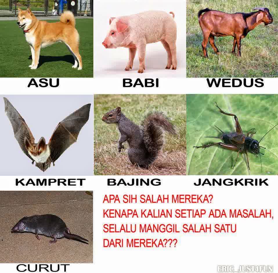 Meme Comic Indonesia On Twitter Kenapa Bukan Jahe Kunyit