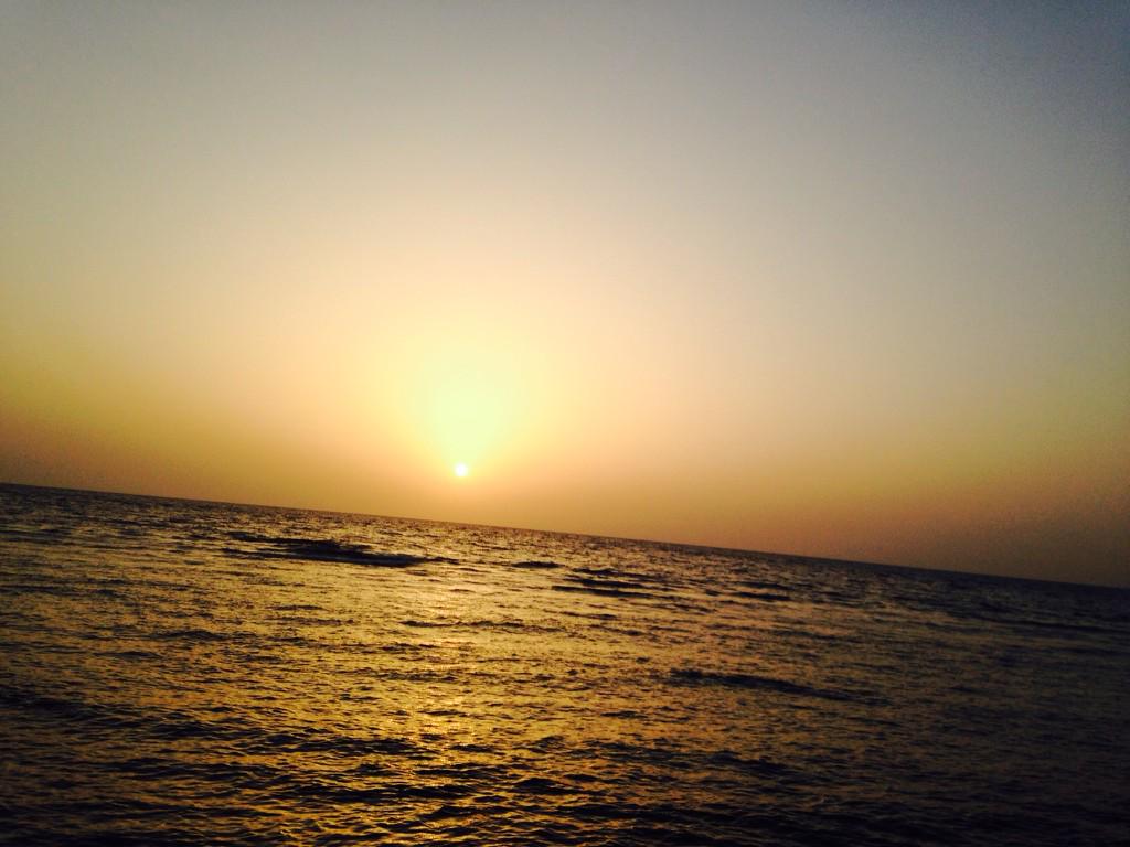 S1Mooon tweet picture