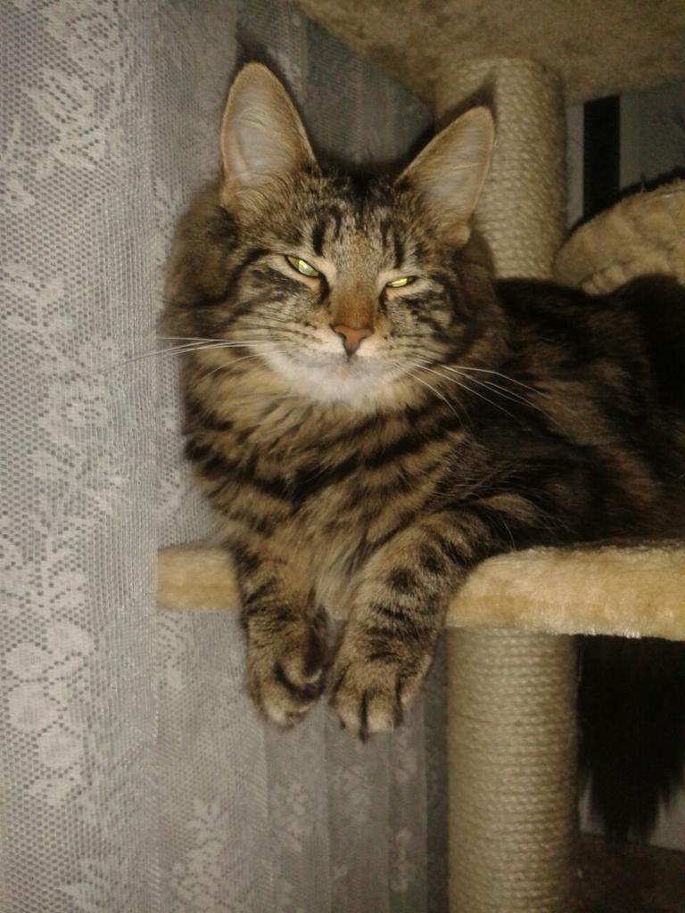 micrababe's tweet image. 