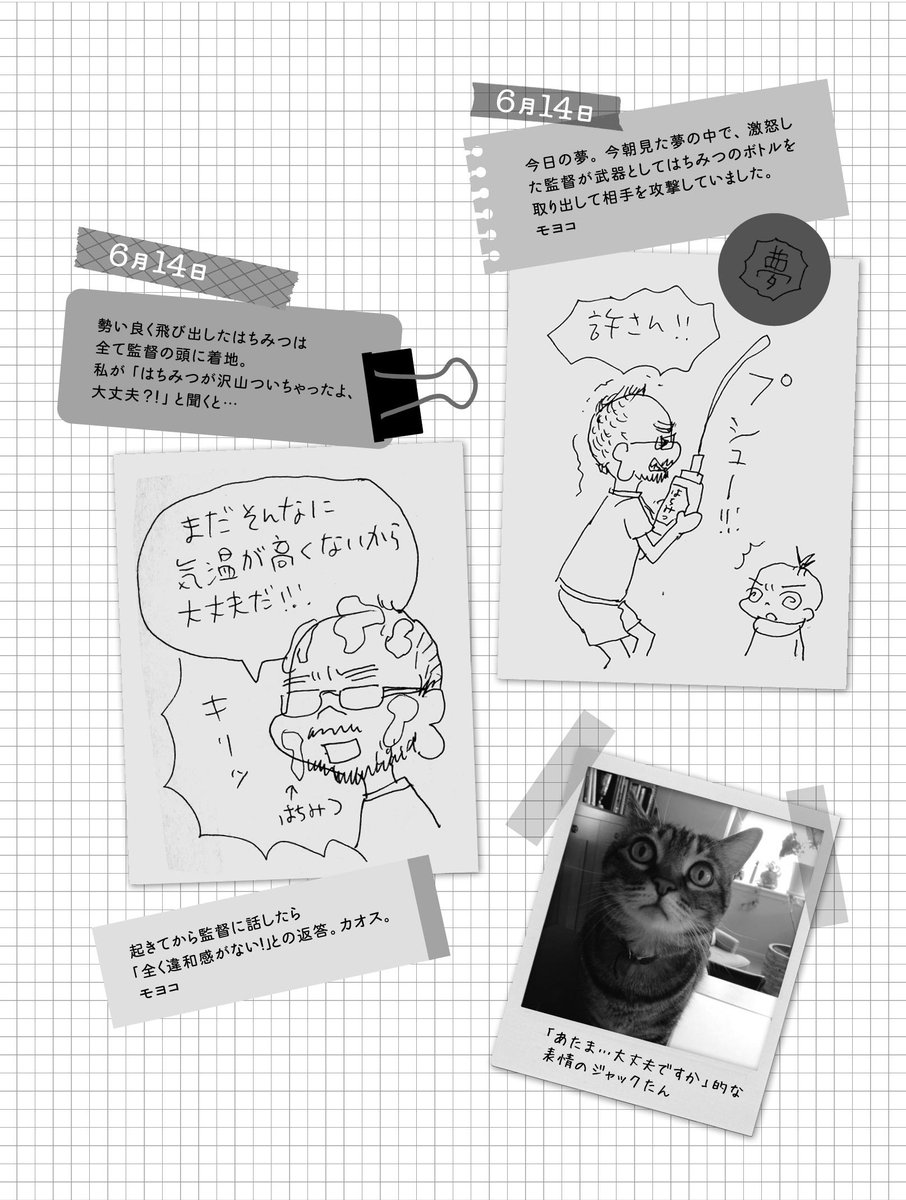 監督不行届 K Fuyukitodoki Twitter