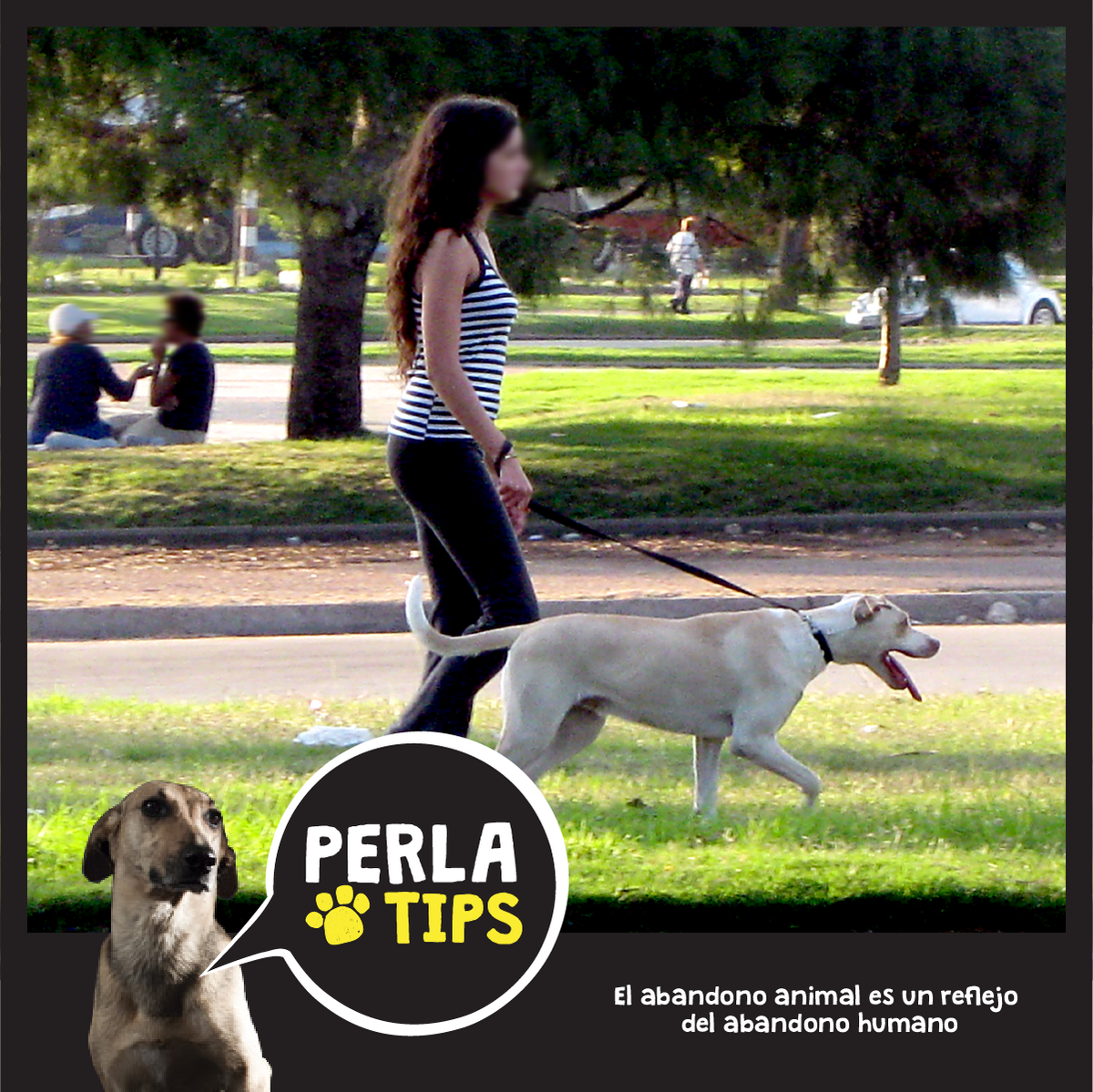 SOS_Animales's tweet photo. @PerlaPelicula Para vivir sanos y felices necesitamos de ustedes los humanos; que se preocupen de nosotros #PerlaTips http://t.co/0Ami73KMQQ