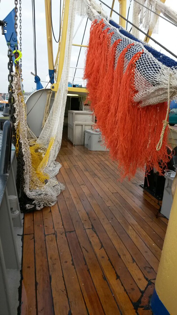 LPostenzonen tweet media