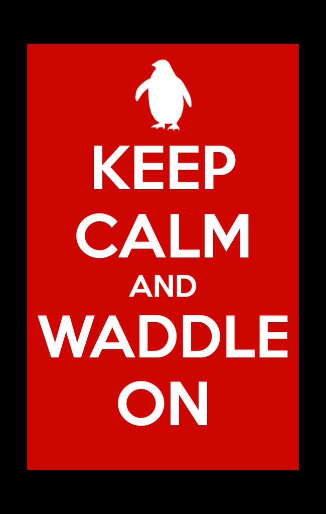 STLPenguin's tweet image. Only 15 more days until you can come see me and my friends. @stlzoo