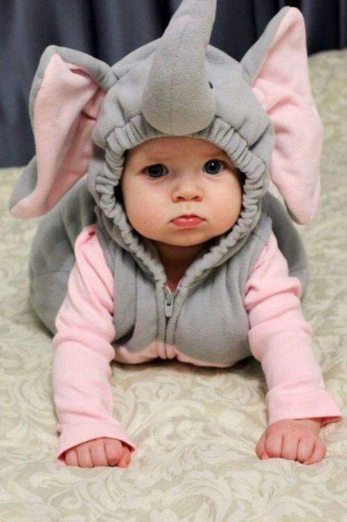 AdorablesEs's tweet image. Carnaval carnaval 🎶