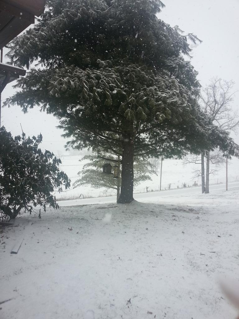 crat1120's tweet image. @TearsaSmith Snow really coming down in Chuckey right now.. #beautifulbutcold
