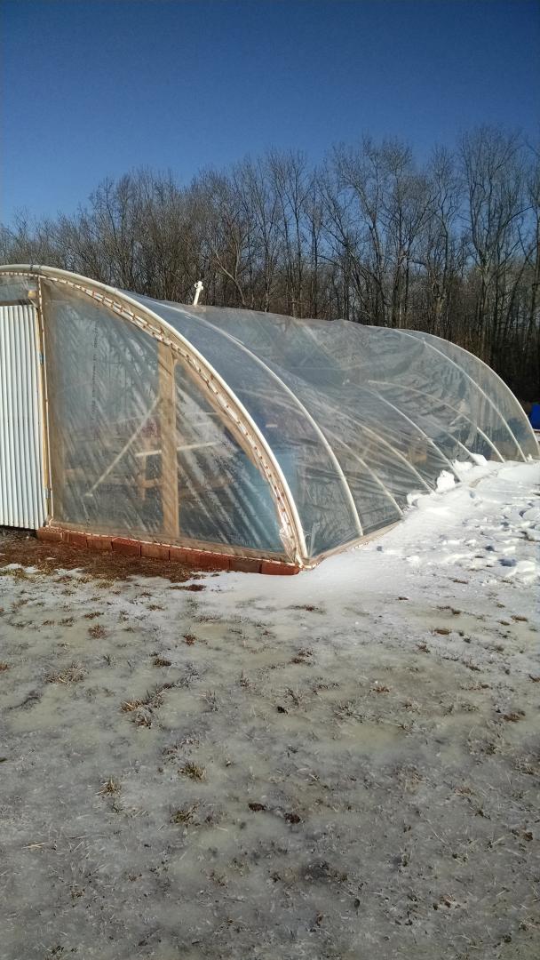 NERMSFFA's tweet photo. Hope everybody will be ready to work soon, we have another coldframe we need to put up soon!Luckily Harvey was inside http://t.co/3fJySVJumZ
