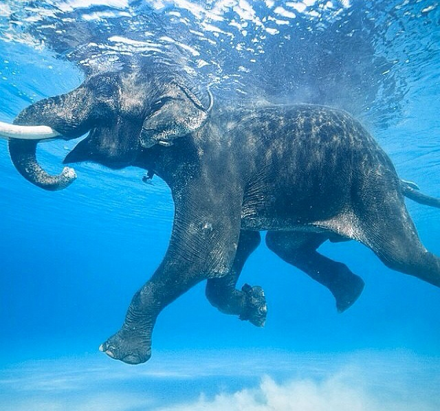 i2inetwork's tweet image. &quot;Life is an expression of choice, not chance. Better lives come from better choices.&quot;