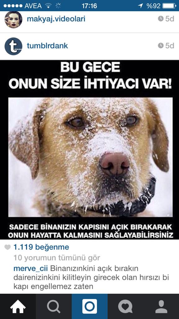 HAVALAR ÇOK SOĞUK,KAR VAR.GEÇİCİ OLARAK PATİLERİ EVİNİZE ALABİLİRSİNİZ,BİNANIZIN KAPISINI AÇIK BIRAKABİLİRSİNİZ