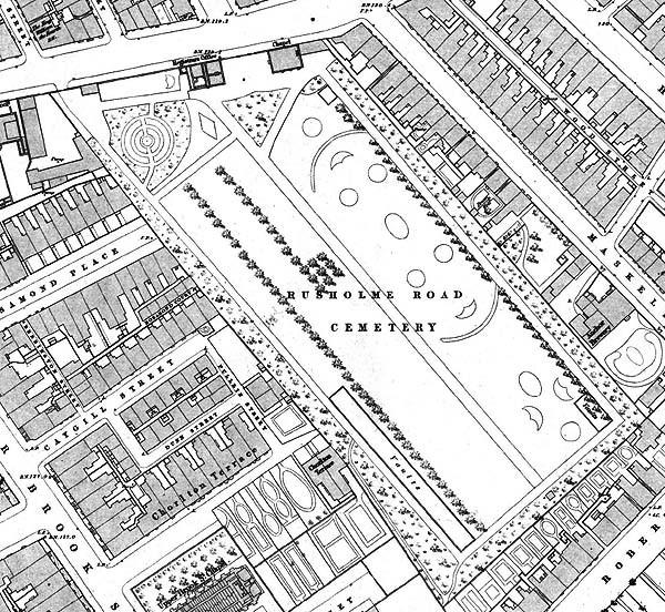 Sad to see such historical trees being cut down. Black populars that lined a walkway for the old cemetery now gone