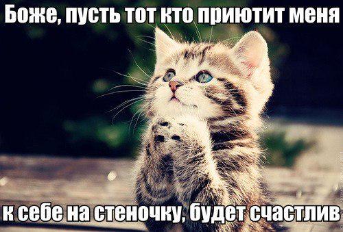 Лена Ленина (@nashdomopi2) on Twitter photo 