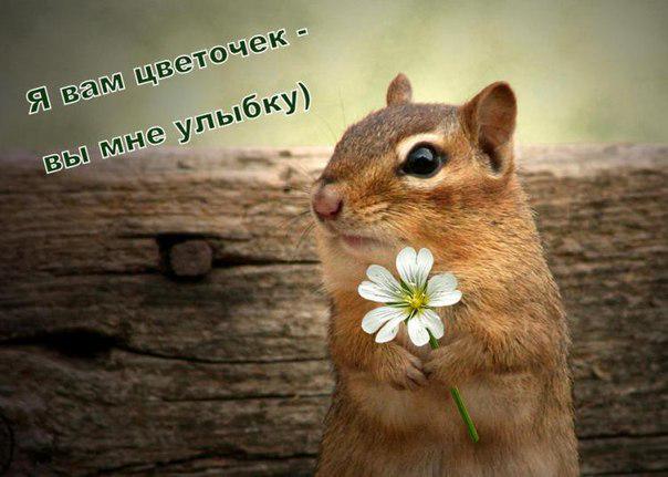 Лена Ленина (@nashdomopi2) on Twitter photo 