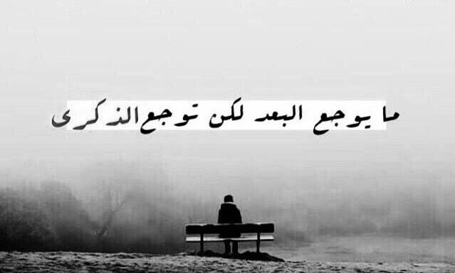 ���� ���� ������ �� ���� ������