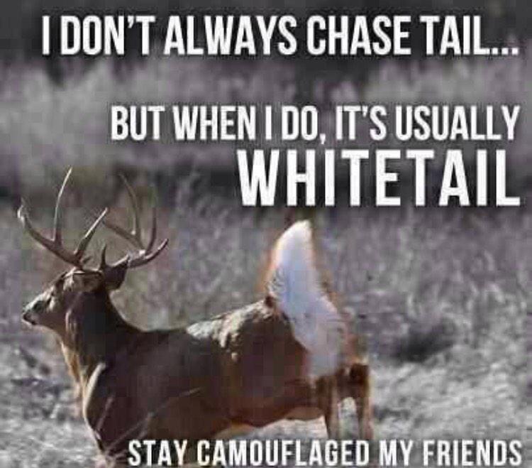 huntdayapp tweet picture