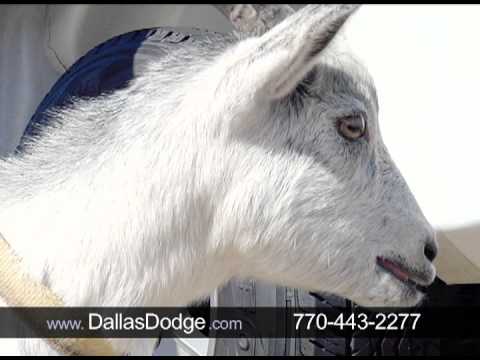 IntDesignLiving's tweet image. Funny car commercial vid.staged.com/Ld9n #customliving #livingdesigns