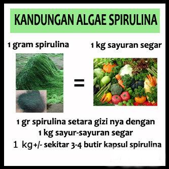 Masker_Hebat's tweet photo. 1 gr spirulina setara gizi-nya dgn 1 kg sayur. Bingung nyari spirulina di mana ??? order 089657498351 | Pin: 53A74B13 http://t.co/Dzx8ewgdwV