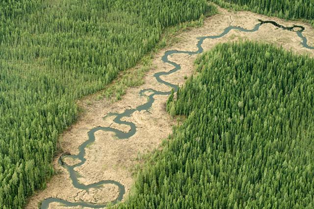 One of our 50 Fabulous Sask Photos: Near Hanson Lake west of Creighton. prairiesnorth.com/photo-gallery/…