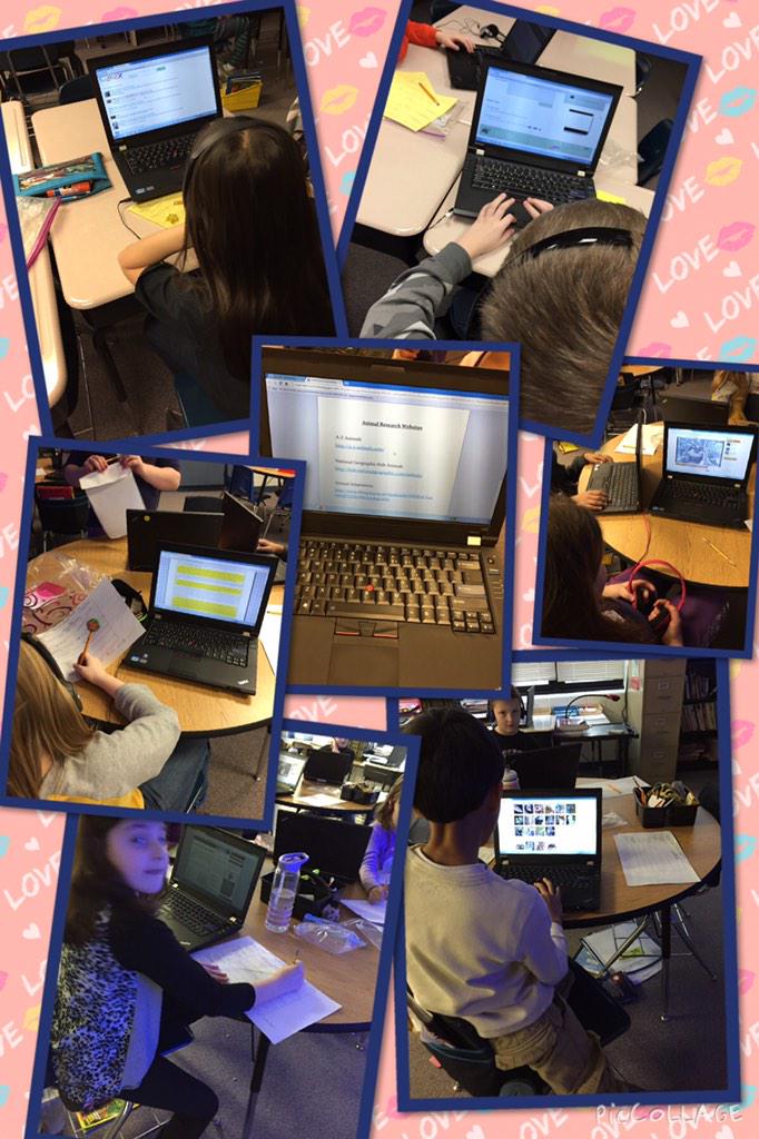 d60MaerckerTech's tweet photo. 3Rappel &amp; 3LeValley start animal research proj! A-Z animals &amp;http://t.co/vgvhndJwCT - amazing resources! #d60learns http://t.co/nDQpZYOhBr
