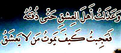 Solar4Egypt's tweet image. 