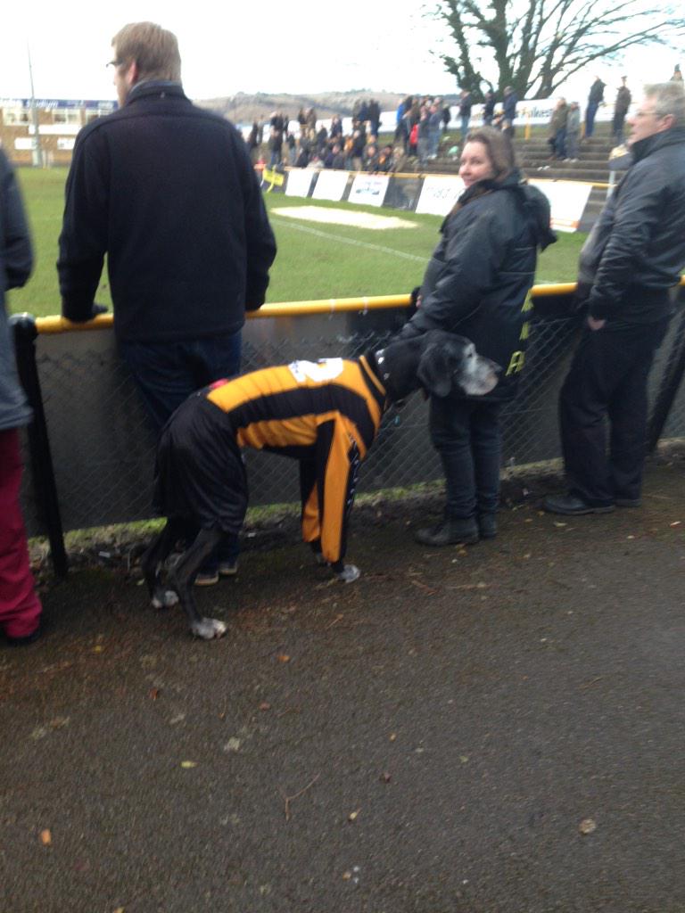 EastLondonWall's tweet image. @dannykellywords Only at Non league...Folkestone