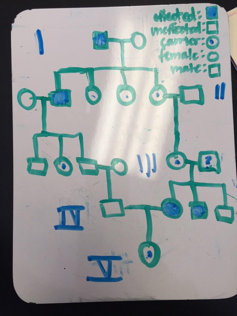 ElijahR_LHS's tweet photo. #ballhr7 #pedigreepuzzle @ColinB_lhs @leahm_lhs @adelaineh_lhs http://t.co/Kv0KBbeBSZ
