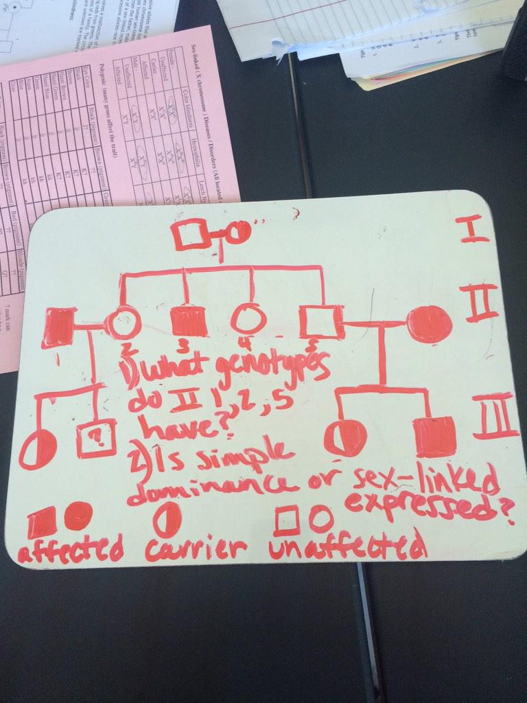 laurelb_lhs's tweet photo. #pedigreepuzzle #ballhr7 @ainsleya_lhs @NEnglebert_LHS @lutherf_lhs http://t.co/Ugkm5uk2wT