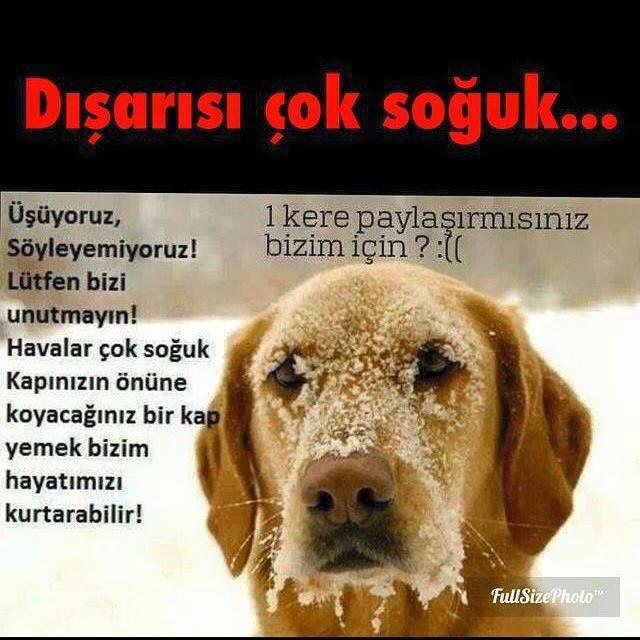 armoni27's tweet image. 